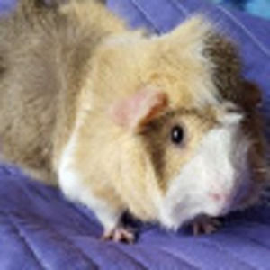 Meet your Posher, Aubrey